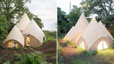 Уютный дом мечты для пенсионерок придумал архитектор из Японии