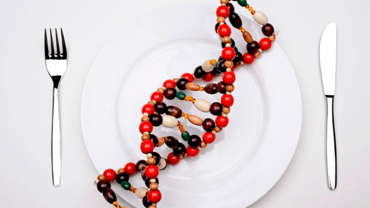 Как гены регулируют наше питание